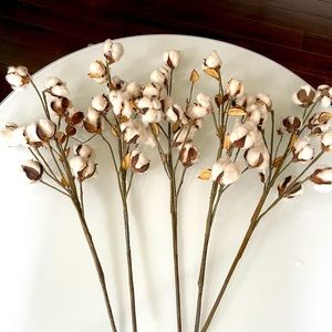 Cotton stems (5)